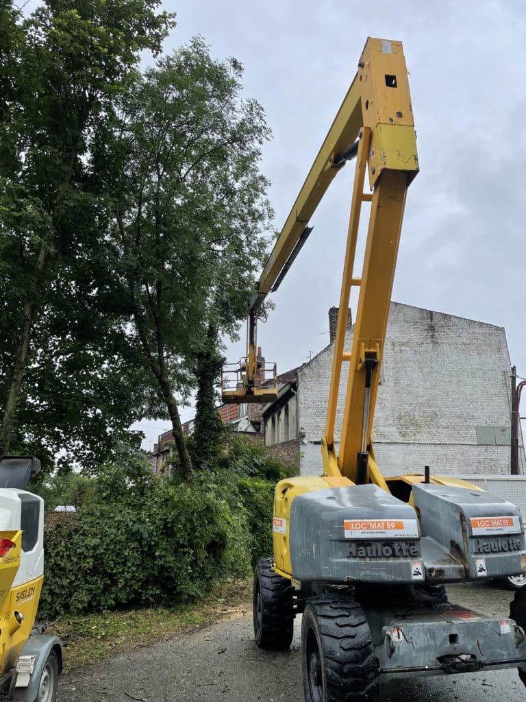 abattages d arbres a douai